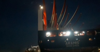 Фото И снова здравствуй! №2